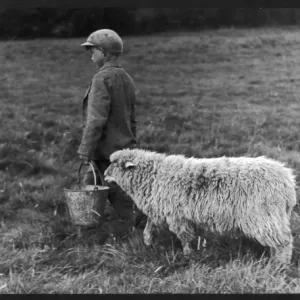 Boy with Sheep Print Boy with Sheep Print