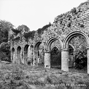 Boyle Abbey, Co Roscommon