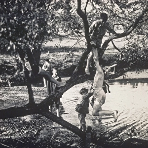 Boys climbing a tree and paddling
