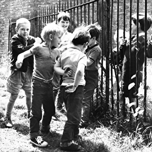 Boys playing by railings, Balham, SW London