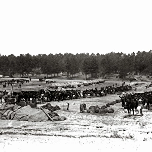British cavalry camp, Western Front, WW1