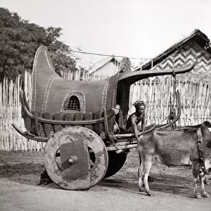 c. 1880 India or Burma - bullock cart and driver