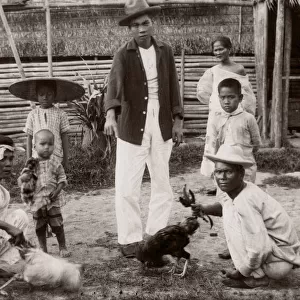 c. 1880s South East Asia - Philippines - cock fighting