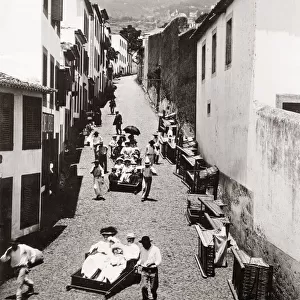 c. 1880s - tourist sledge in Madeira Portugal