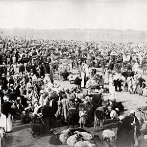 c. 1890s Egypt - sheep market - by JP Sebah