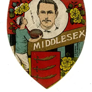 C M Wells, Middlesex Rugby Player