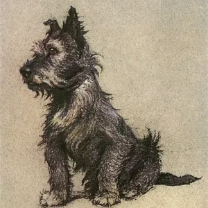 Cairn Terrier Print by E.H. Shepard, 1928 Cairn Terrier Print by E.H. Shepard, 1928