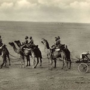 Camel carriage, Bikaner, Thar Desert, Rajasthan, India