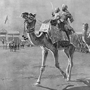 Camel corps at Delhi Durbar, 1912