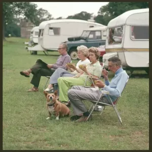 Dogs