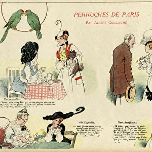 Cartoon, Parrots of Paris, WW1