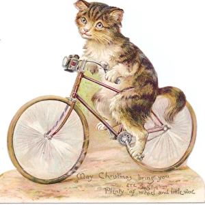 Cat on a bicycle on a cutout Christmas card