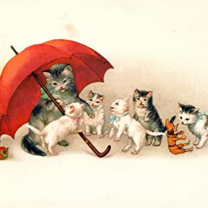 Cat and kittens with a red umbrella on a postcard