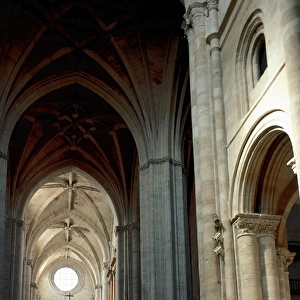 Cathedral of Santo Domingo de la Calzada. Nave. La Rioja. Sp