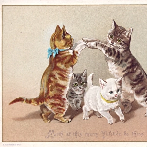 Four cats dancing on a Christmas card