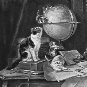 Cats and kittens playing with a globe on a desk