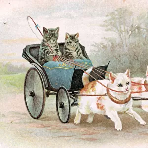 Cats riding in an open carriage on a postcard