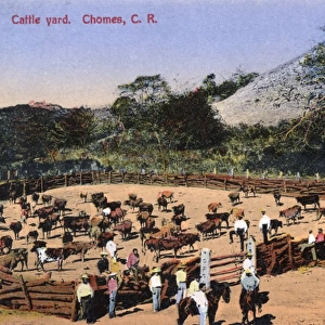 Cattle Yard, Chomes, Costa Rica