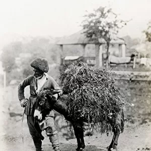 Caucasus Georgia Tiflis Tblisi-donkey with load & Armenian d