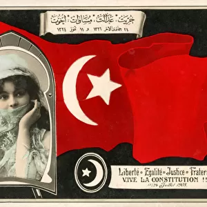 Celebrating the New Turkish Constiution - French postcard