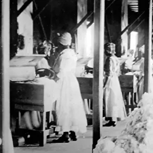 Central cotton Ginnery in St Vincent early 1900s