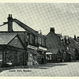 Hampshire Collection: Whitehill