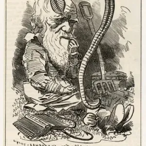 Charles Darwin Studying a Worm Print Charles Darwin Studying a Worm Print