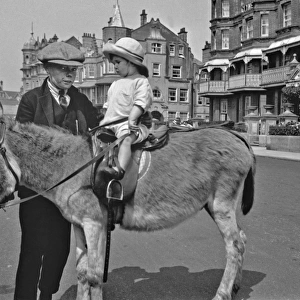 Two children with a donkey at the seaside