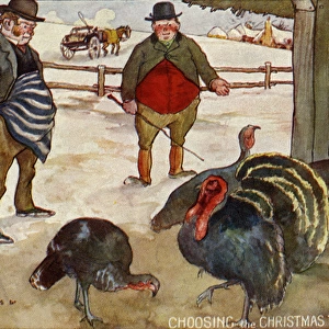 Choosing the Christmas turkey