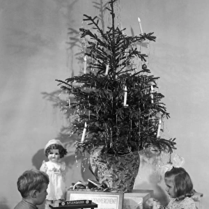 Christmas Tree & Toys