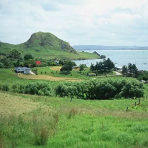 Coastal view at Whangarei, North Island, New Zealand