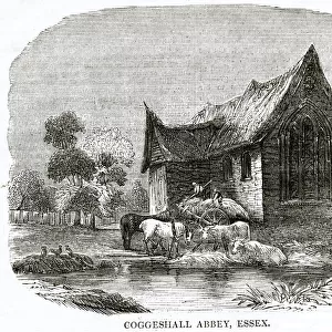 Coggeshall Mill Abbey, Essex