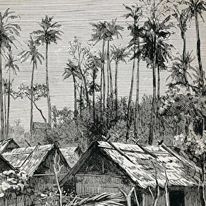 Colonial Africa (1883). Gulf of Guinea. Fernando