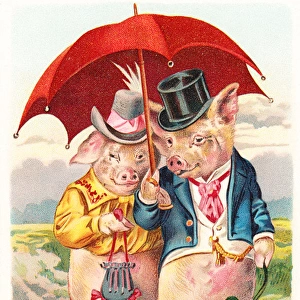 Contented pig couple on a French postcard