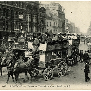 Corner of Tottenham Court Road, London - Horse Buses