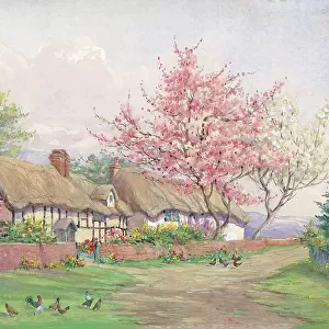 Cottage Gardens Garden Flowers Watercolour painting