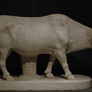 Cow. Pentelic marble. Copy after a bronze statue by Myron (4