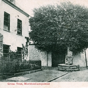 Cross Tree, Moretonhampstead, Devon