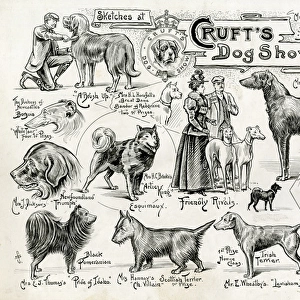 Crufts Dog Show - dogs and owners