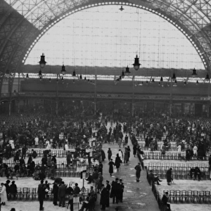 Crufts Dog Show at the Royal Agricultural Hall, London