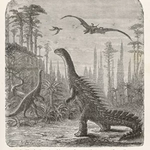 Dinosaur / Stegosaurus