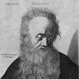 Diogenes Portrait