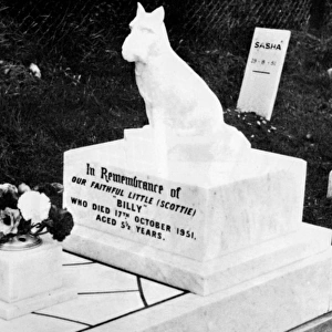 Dog gravestone