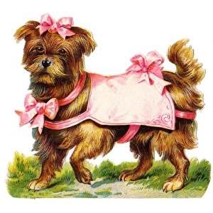 Dog with pink ribbons on a Victorian scrap