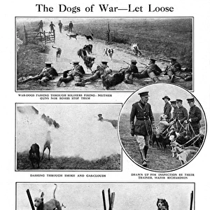 The Dogs of War - Let Loose