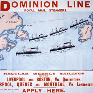 Dominion Line steamers