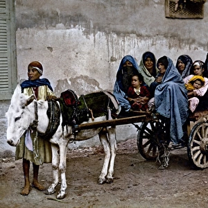 Donkey cart, Egypt, circa 1890s