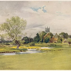 Dorset - Bere Regis - 1906
