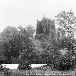 Dripsey Castle on R. Lee, Co. Cork