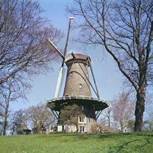 Dutch Windmill 1960S
